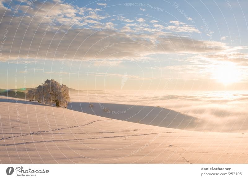 Pastellsonnenuntergang Ferien & Urlaub & Reisen Ausflug Ferne Freiheit Winter Schnee Winterurlaub Berge u. Gebirge wandern Umwelt Natur Landschaft Himmel Sonne