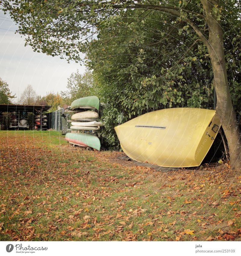 saisonende Umwelt Natur Himmel Herbst Pflanze Baum Gras Sträucher Grünpflanze Wildpflanze Wiese Ruderboot Kanu braun gelb grün Ordnung aufbewahren Farbfoto