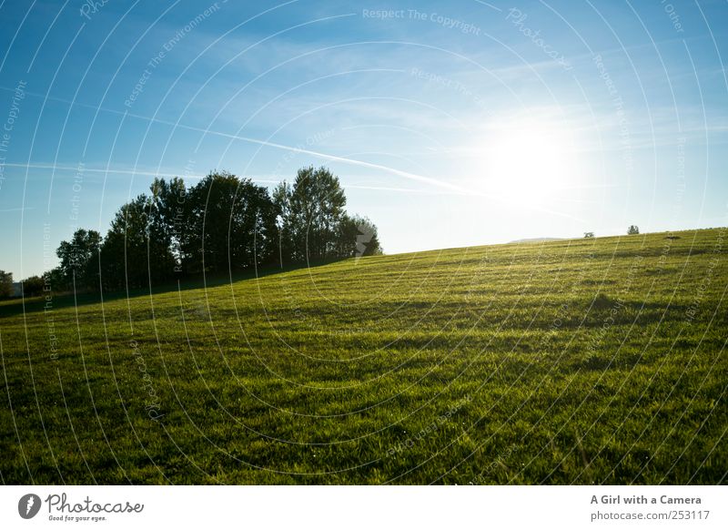 Rhön Hügel Umwelt Natur Landschaft Pflanze Himmel Wolken Sommer Herbst Gras Wiese leuchten Freundlichkeit Fröhlichkeit gigantisch natürlich saftig