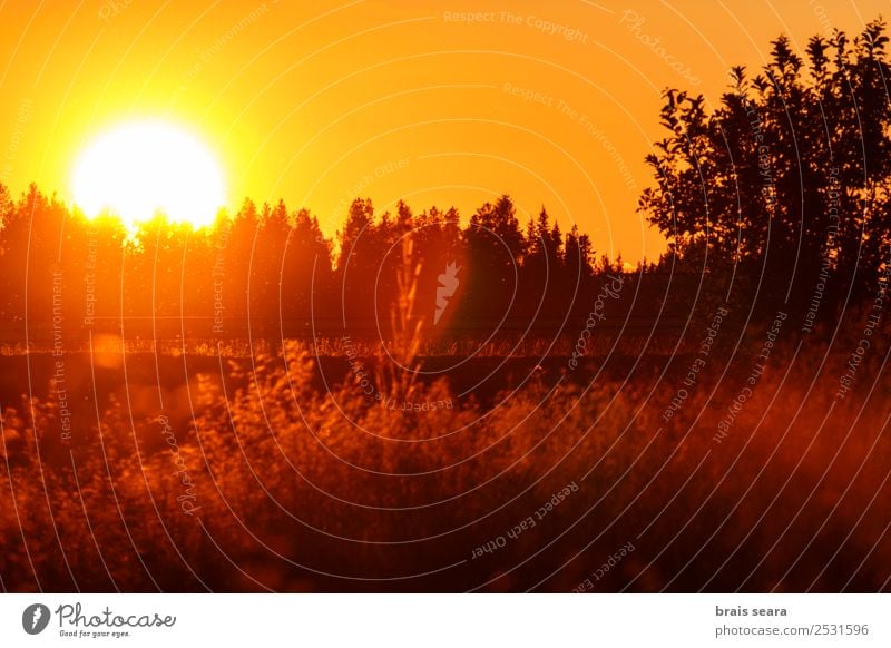 Sonnenuntergang über dem Wald schön Ferien & Urlaub & Reisen Tourismus Ausflug Sommer Berge u. Gebirge Sonnenenergie Umwelt Natur Landschaft Erde Himmel