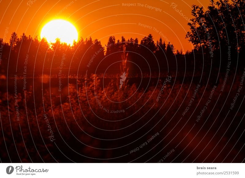 Sonnenuntergang über dem Wald schön Ferien & Urlaub & Reisen Tourismus Ausflug Sommer Berge u. Gebirge Natur Landschaft Himmel Horizont Herbst Baum Park Straße