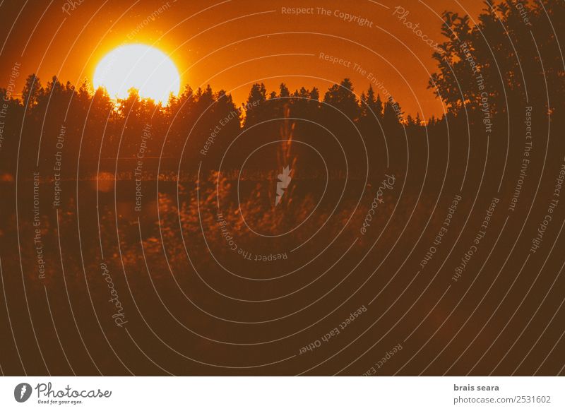 Sonnenuntergang über dem Wald schön Ferien & Urlaub & Reisen Tourismus Ausflug Sommer Berge u. Gebirge Sonnenenergie Umwelt Natur Landschaft Erde Himmel