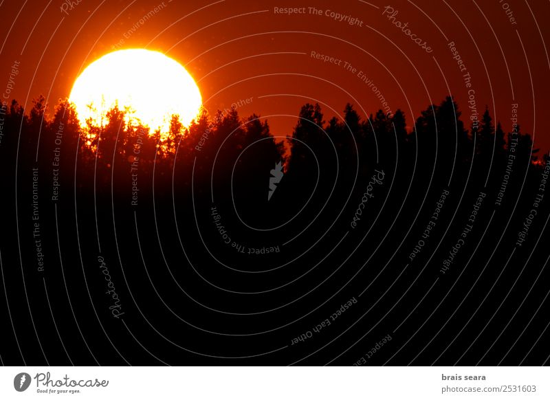 Sonnenuntergang über dem Wald schön Ferien & Urlaub & Reisen Tourismus Ausflug Sommer Berge u. Gebirge Sonnenenergie Umwelt Natur Landschaft Erde Himmel