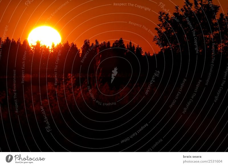 Sonnenuntergang über dem Wald schön Ferien & Urlaub & Reisen Tourismus Ausflug Sommer Berge u. Gebirge Natur Landschaft Himmel Horizont Herbst Baum Park Straße