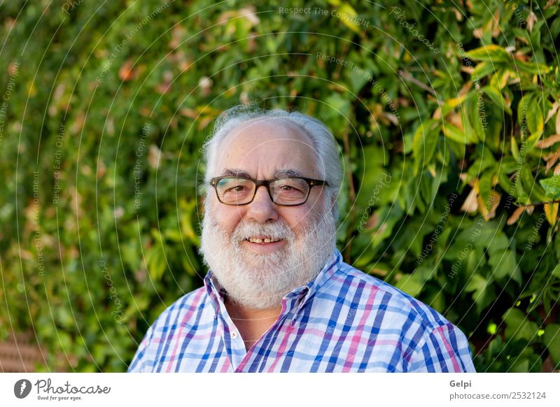 Porträt eines älteren Mannes mit weißem Bart im Garten Lifestyle Glück Gesicht Windstille Freizeit & Hobby Sommer Ruhestand Mensch Erwachsene Großvater Natur