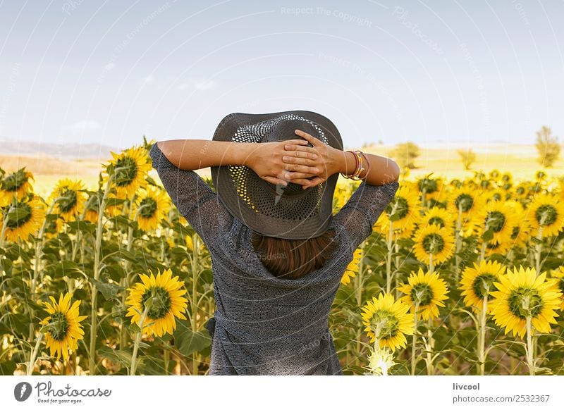 Frau im Sonnenblumenfeld Lifestyle Glück schön Mensch feminin Erwachsene Weiblicher Senior 1 45-60 Jahre Natur Landschaft Wolken Pflanze Blume Blatt Hügel Dorf