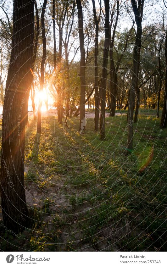 Finstere Zeiten Wellness Ferien & Urlaub & Reisen Ausflug Abenteuer Freiheit Sommer Sonne Umwelt Natur Landschaft Urelemente Sonnenaufgang Sonnenuntergang