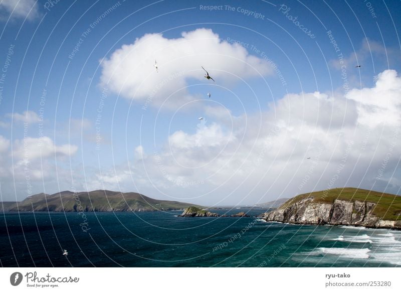 dingle. Natur Wasser Himmel Wolken Herbst Hügel Felsen Berge u. Gebirge Schlucht Wellen Küste Meer Insel Erholung träumen ästhetisch blau braun grün weiß