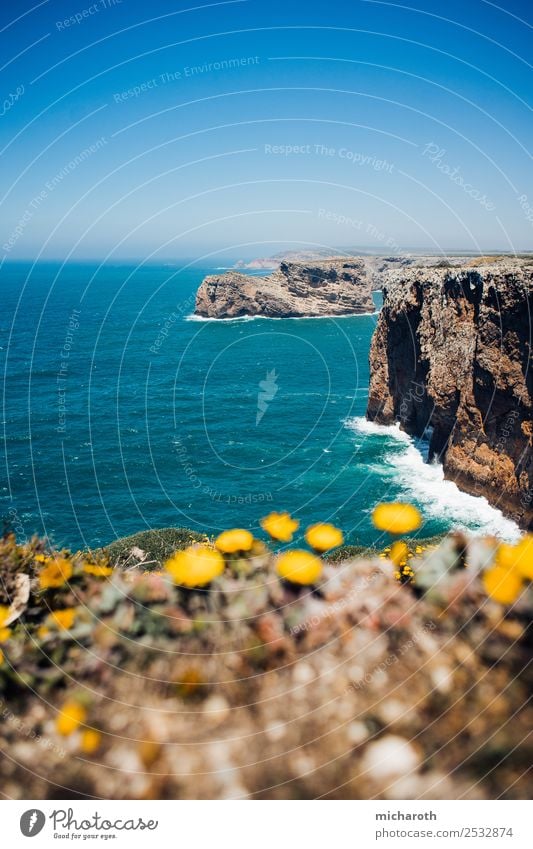 Blick über die Kllppen Ausflug Abenteuer Ferne Freiheit Sommer Sommerurlaub Strand Meer Wellen Umwelt Natur Landschaft Erde Wasser Schönes Wetter Pflanze Felsen