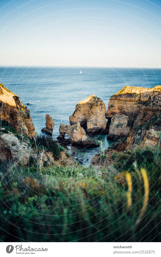 Algarve Cliffs in the Evening light Ferien & Urlaub & Reisen Ausflug Ferne Freiheit Sommer Meer Insel Wassersport Natur Landschaft Pflanze Schönes Wetter