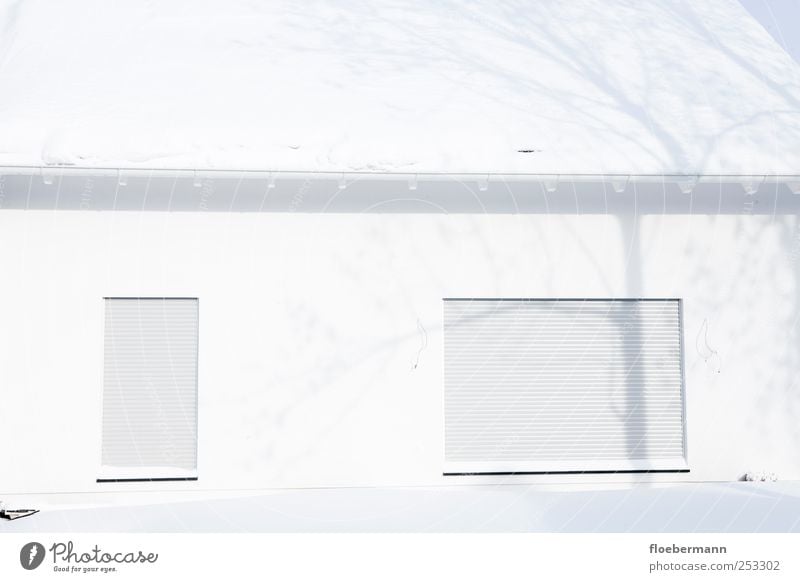 Neubau Eis Frost Schnee Aachen Bundesadler Dorf Menschenleer Einfamilienhaus Bauwerk Gebäude Architektur Fassade Fenster Dach Dachrinne ästhetisch einfach