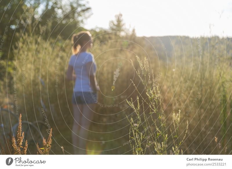 Where are you? Sommer Sonne feminin Junge Frau Jugendliche 1 Mensch 18-30 Jahre Erwachsene Natur Pflanze Wolkenloser Himmel Sonnenlicht Schönes Wetter Gras