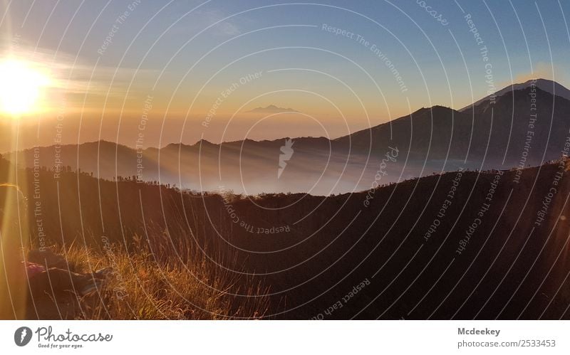 Sunrise Mount Batur - Bali Landschaft Wolkenloser Himmel Horizont Sonnenaufgang Sonnenuntergang Sonnenlicht Sommer Schönes Wetter Gras Sträucher