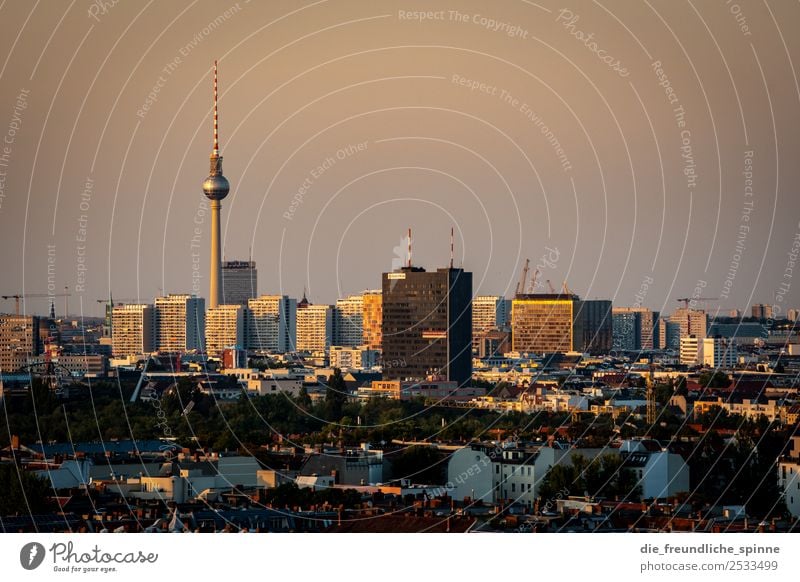 Skyline Alexanderplatz Hochhaus Plattenbau Berlin Berlin-Mitte Deutschland Europa Hauptstadt Stadtzentrum Sehenswürdigkeit Wahrzeichen Fernsehturm Ferne Fernweh