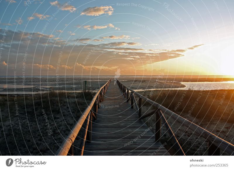 Beachwalk Ferien & Urlaub & Reisen Strand Meer Natur Himmel Wolken Sonnenaufgang Sonnenuntergang Sonnenlicht Schönes Wetter Atlantik Wege & Pfade Lebensfreude