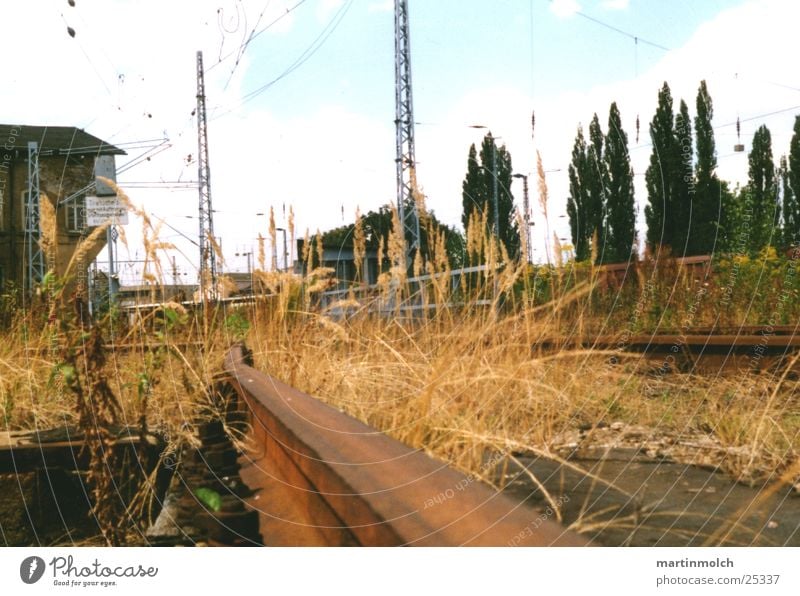 Industrial Güterbahnhof Beton Gebäude Drehscheibe Gleise Eisenbahn kaputt Gras Baum Elektrizität Industrie Bahnhof Metall DDR Einsamkeit alt Pflanze Strommast