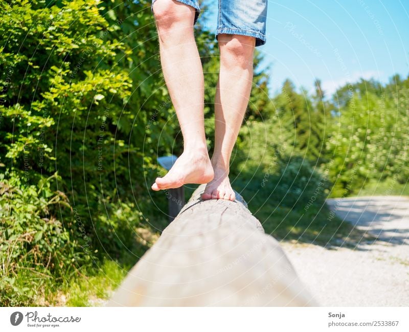 Mann, Barfuss, Baumstamm, Natur, Fitness, Bewegung Lifestyle Freizeit & Hobby Ausflug Sommer Mensch maskulin Erwachsene Leben Beine 1 45-60 Jahre Holz laufen