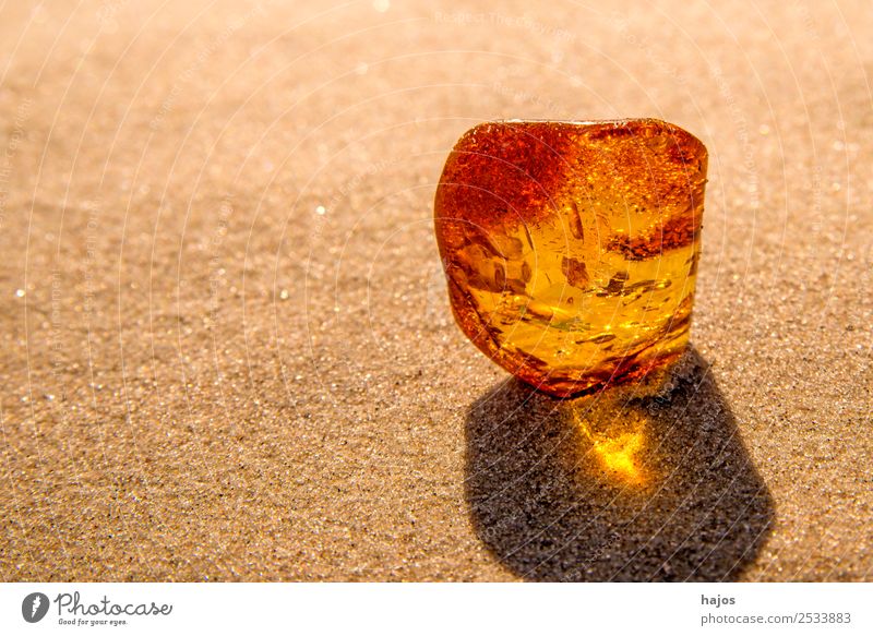 Bernstein am Ostseestrand Strand Natur Sand Ornament hell schön gelb leuchtend Baumharz Heilstein Stein Steinheilkund warm Nahaufnahme Hildegard von Bingen