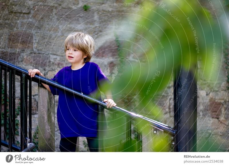 Kind auf dem Spielplatz Mensch maskulin Junge Kindheit 1 3-8 Jahre Pflanze Baum festhalten Spielen Fröhlichkeit Glück natürlich violett Freude Zufriedenheit