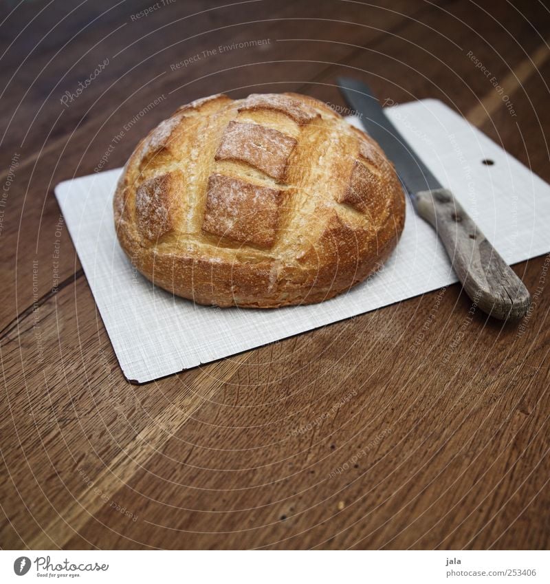 brot Lebensmittel Brot Ernährung Frühstück Abendessen Bioprodukte Vegetarische Ernährung Messer Schneidebrett lecker braun Appetit & Hunger Farbfoto