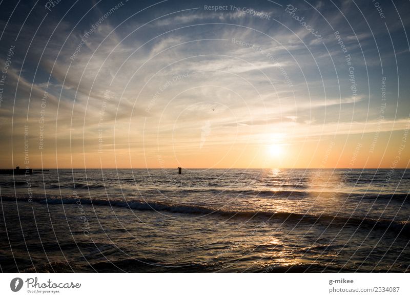 Sonnenuntergang an der Ostsee Umwelt Wasser Himmel Sonnenaufgang Sonnenlicht Sommer Strand Meer Ferne frei Unendlichkeit schön Wärme blau gelb Warmherzigkeit