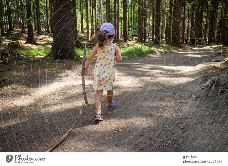 Wandern gehen Natur Sommer Wald entdecken laufen wandern klein Neugier grün Kraft Willensstärke Mädchen Wanderwg Leben stark Mut Farbfoto Außenaufnahme