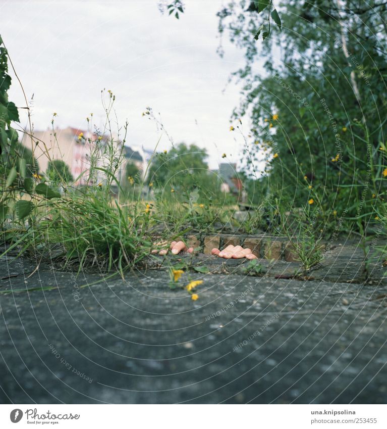 untergrund I maskulin Hand Finger 1 Mensch Umwelt Natur Pflanze Gras Industrieanlage Ruine Stein Beton berühren festhalten außergewöhnlich lustig Angst