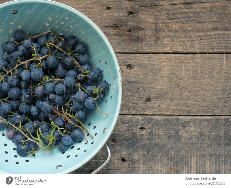 Blaue Weintrauben Frucht Dessert Bioprodukte Vegetarische Ernährung Diät Sommer Natur lecker sieve utensils colander grapes blue box food fruit vine table fresh