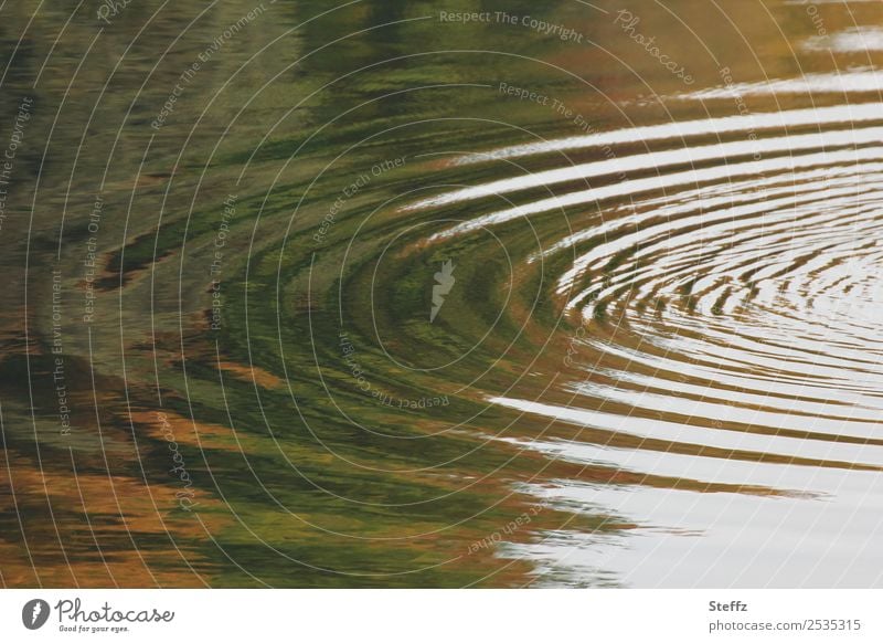 Herbstspiegelung harmonisch ruhig Meditation Wasser Wellen Teich See wellig grün Herbstgefühle Lichtstimmung Symmetrie Wasseroberfläche Herbstfärbung herbstlich