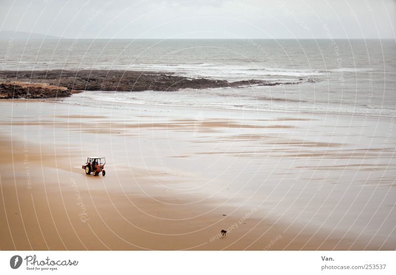 I hol di mit'm Traktor ab... Ferien & Urlaub & Reisen Strand Natur Landschaft Wasser Himmel Wind Felsen Küste Meer Atlantik Landzunge Republik Irland Tier