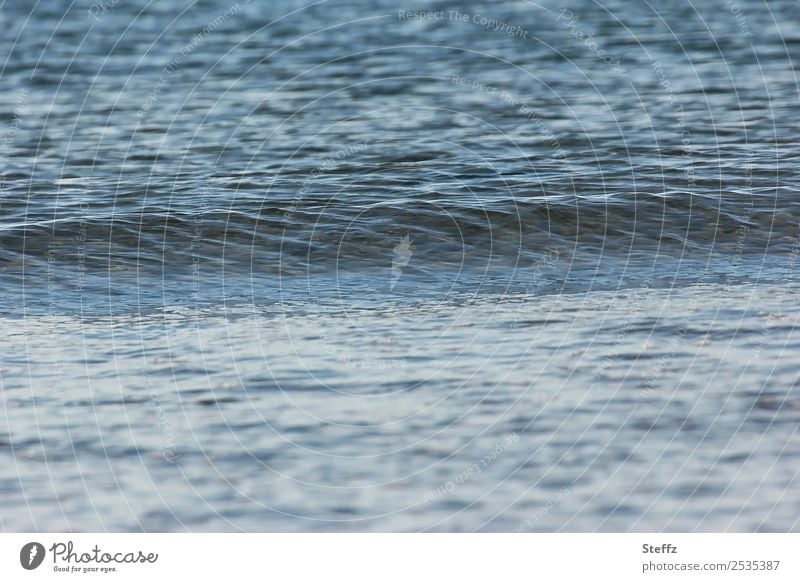 Die Welle kommt sanft Nordsee maritim sanfte Wellen nordisch nordische Romantik Meer Meerwasser Wellenkamm Meeresromantik Wellengang Wellenschlag