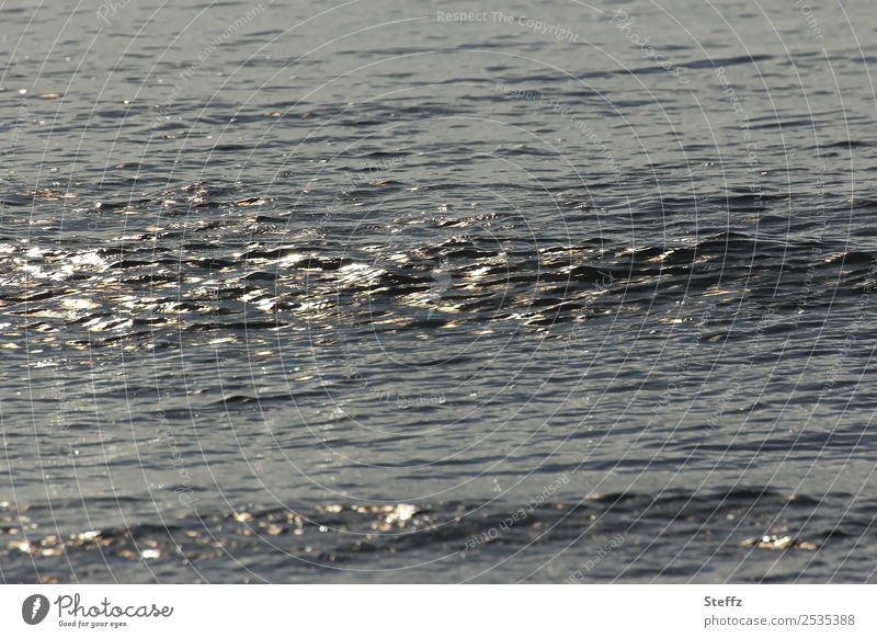 Nordsee mit Lichtreflexen nordisch nordische Romantik Norden Meerwasser Nordseeküste maritim Meeresromantik Meeresstimmung Wellen glänzend lichtvoll Fernweh