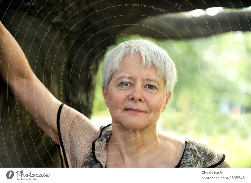 Selbstbewusst Mensch feminin Frau Erwachsene Weiblicher Senior 1 45-60 Jahre Baum grauhaarig kurzhaarig Holz berühren Lächeln Blick stehen authentisch