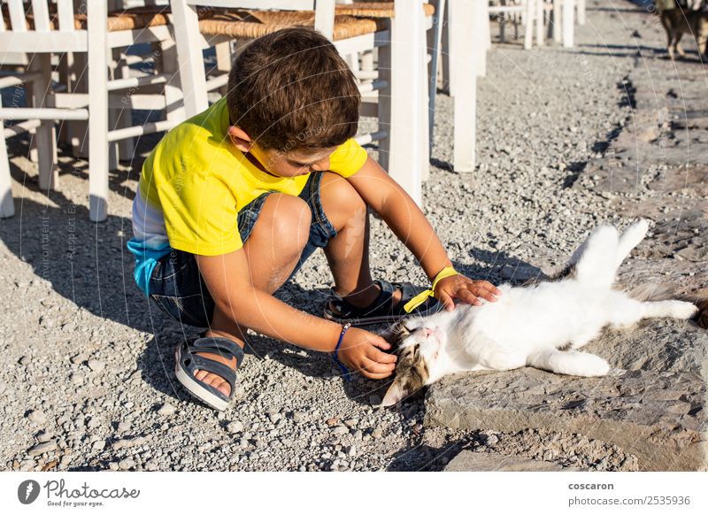 Liebenswerter kleiner Junge, der eine Katze auf der Straße streichelt. Lifestyle Freude Glück schön Freizeit & Hobby Spielen Sommer Kind Mensch Kleinkind