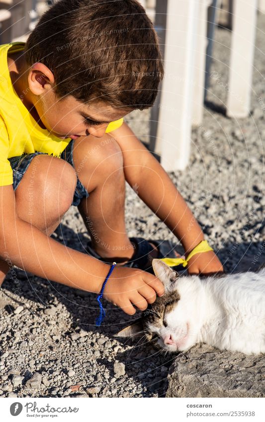 Liebenswerter kleiner Junge, der eine Katze auf der Straße streichelt. Lifestyle Freude Glück schön Freizeit & Hobby Spielen Sommer Kind Mensch maskulin