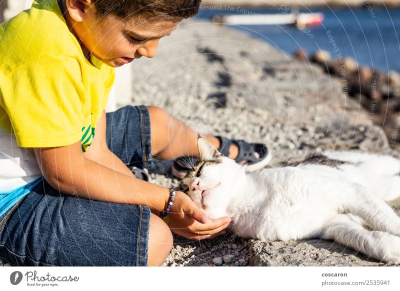 Liebenswerter kleiner Junge, der eine Katze auf der Straße streichelt. Lifestyle Freude Glück schön Freizeit & Hobby Spielen Sommer Kind Mensch Kleinkind