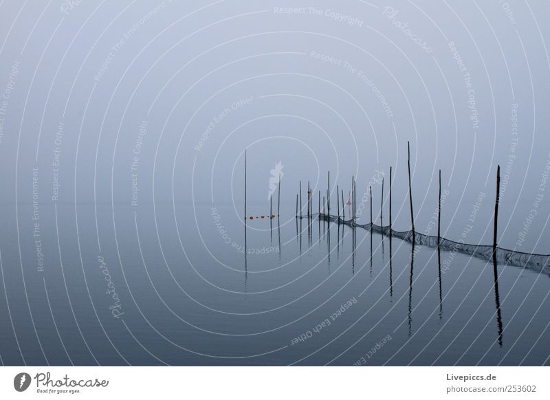 Da Reuse Landwirtschaft Forstwirtschaft Umwelt Natur Landschaft Pflanze Wasser Himmel Herbst schlechtes Wetter Nebel Regen Seeufer Fischerdorf Fischernetz