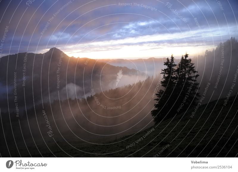 Abend an der Druesberghütte Berge u. Gebirge Natur Landschaft Wolken Nebel Baum Alpen blau braun gelb grau schwarz abend abendstimmung Sonnenuntergang