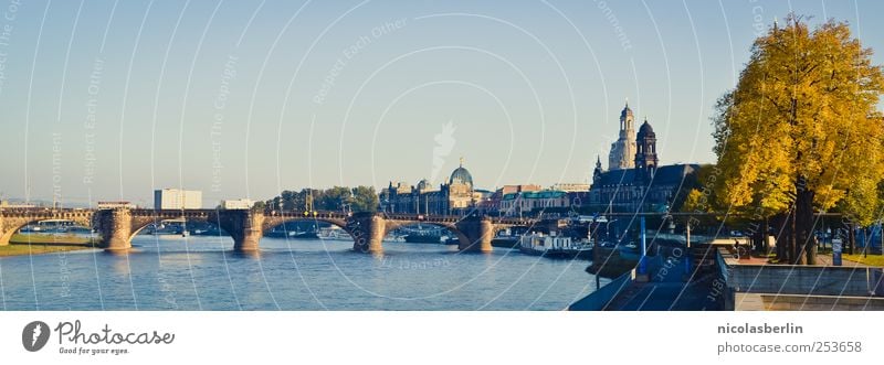 B@DD 11 | Dresden im Herbst Ferien & Urlaub & Reisen Ausflug Sightseeing Städtereise Häusliches Leben Natur Baum Hafenstadt Stadtzentrum Altstadt Skyline