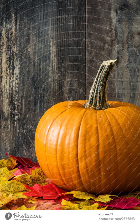 Kürbis und Herbstblätter auf Holzuntergrund Lebensmittel Gesunde Ernährung Foodfotografie orange Gemüse Halloween festlich Jahreszeiten Saison Oktober