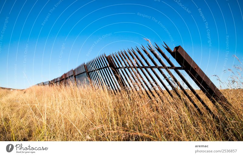 Alter Metallzaun im Gras Natur Landschaft Himmel Wolkenloser Himmel Herbst Schönes Wetter Wiese Südafrika alt blau gelb Gefühle Trauer metal fence grass