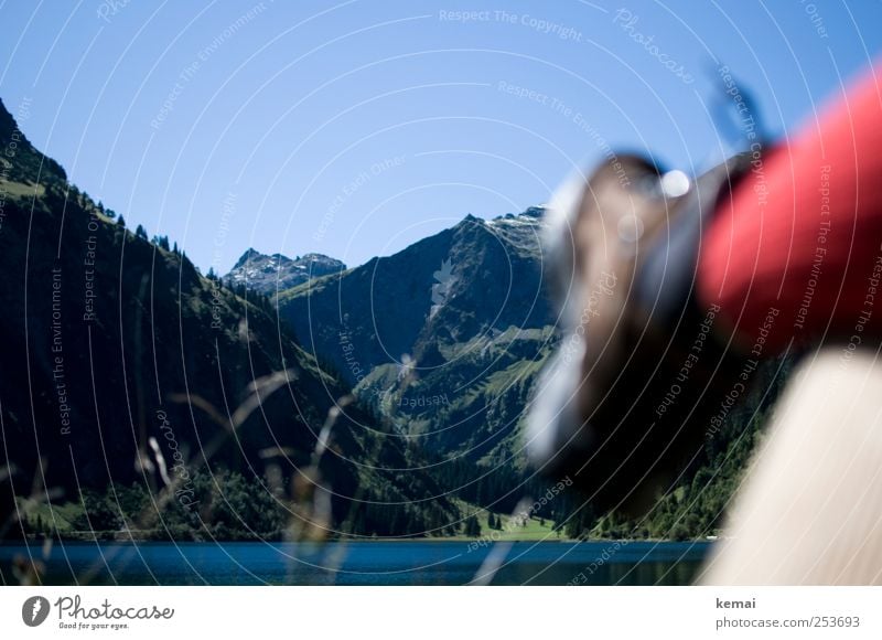 Schon wieder Pause Berge u. Gebirge wandern Umwelt Natur Landschaft Pflanze Wasser Wolkenloser Himmel Sonnenlicht Sommer Schönes Wetter Baum Felsen Alpen Gipfel