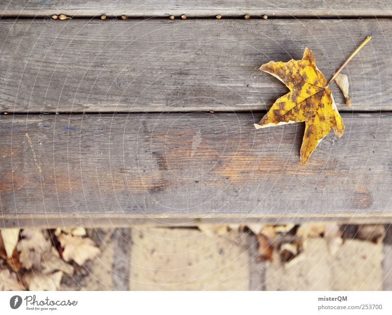 Parkbank. Kunst ästhetisch Zufriedenheit unten Blatt Ahornblatt gelb Idylle Herbst Herbstlaub herbstlich Herbstbeginn Herbstfärbung Herbstwetter Herbstwind Bank