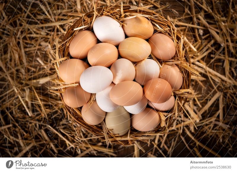 Von oben Korb mit frischen Eiern vom Bauernhof Lebensmittel Ernährung Dekoration & Verzierung Tisch Ostern Natur Landschaft Holz natürlich braun weiß