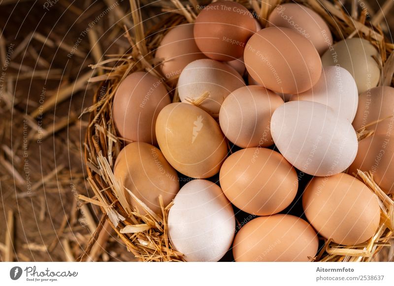 Von oben Korb mit frischen Eiern vom Bauernhof Lebensmittel Ernährung Dekoration & Verzierung Tisch Ostern Natur Landschaft Holz natürlich braun weiß