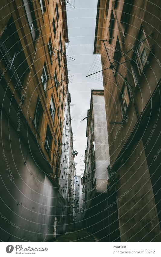 Schlucht Stadt Hafenstadt Stadtzentrum Altstadt Menschenleer Haus Mauer Wand Fassade Fenster Satellitenantenne Straße alt dunkel blau braun gelb grau eng