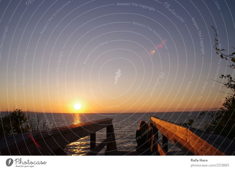 Sonnenuntergang Freiheit Sommer Sommerurlaub Meer Landschaft Luft Wasser Wolkenloser Himmel Horizont Sonnenaufgang Strand Bucht Erholung genießen leuchten