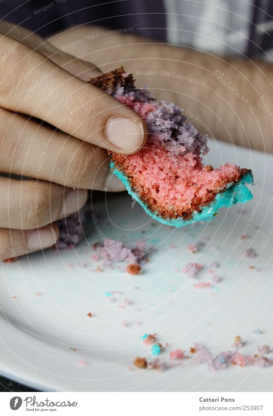 besser als bunte Bonbons! Lebensmittel Kuchen Ernährung Kaffeetrinken Teller 1 Mensch Essen festhalten exotisch nah süß trocken mehrfarbig Krümel Finger