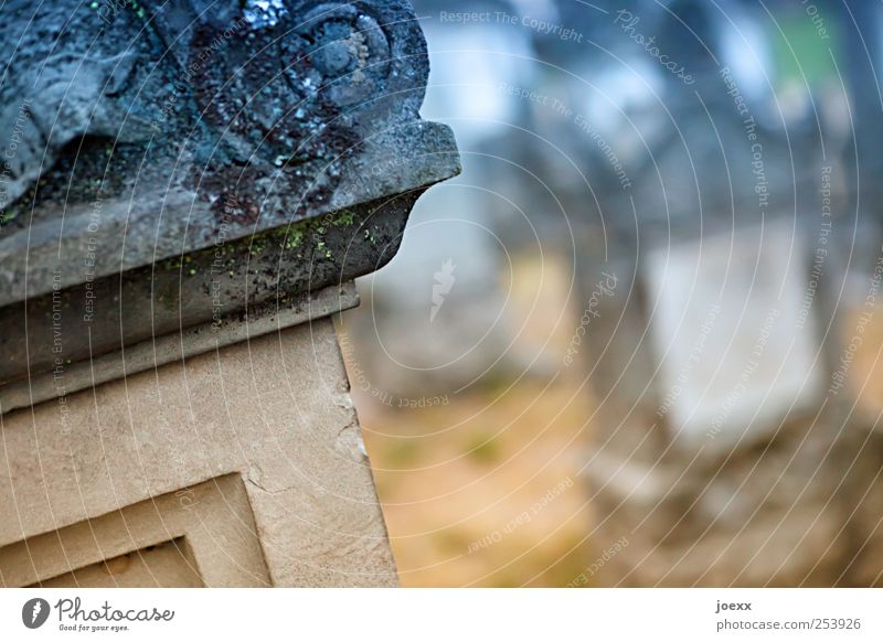 Erinnerungen Menschenleer Stein Ornament alt blau braun Akzeptanz Vorsicht ruhig Hoffnung Trauer Tod Vergänglichkeit Grabstein Friedhof Schnörkel Farbfoto