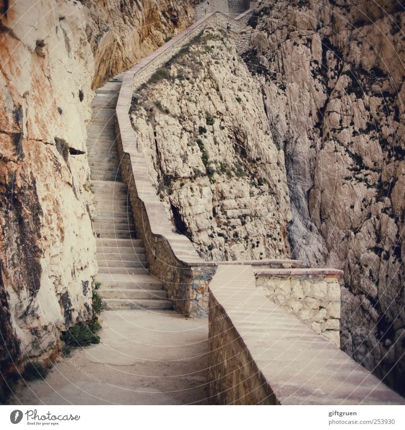 654 steps Urelemente Felsen Berge u. Gebirge Umwelt Treppe Felswand Landschaftsformen steil Steilwand gefährlich aufsteigen karg steinig anstrengen aufwärts